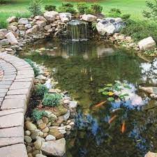 53 Cool Backyard Pond Design Ideas Digsdigs Fish Pond Gardens Ponds Backyard Pond Landscaping