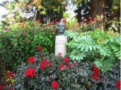 In Klein Flottbek Kommen Naturfreunde Auf Ihre Kosten Ob Loki Schmidt Garten Oder Jenisch Park Bei Diesem Botanischen Botanischer Garten Garten Loki Schmidt