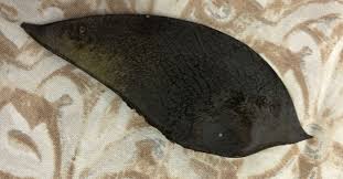 Image result for Craibia