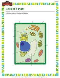Check spelling or type a new query. Cells Of A Plant 5th Grade Science Worksheet