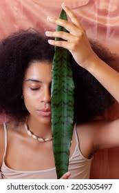 54 Sword Saint Jorge Royalty-Free Images, Stock Photos & Pictures