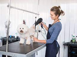 Are you a professional pet groomer and are having problems while rinsing and moistening? How To Start A Mobile Dog Grooming Salon
