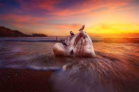 4 Steps To More Creative Landscape Photography Creative Landscape Landscape Photography Landscape Photography Tips