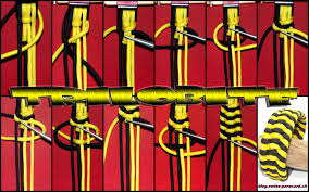 Wir haben eine anleitung für paracord halsbänder und ein bastelset für eine paracord hundeleine. Trilobite Armband Swiss Paracord Gmbh