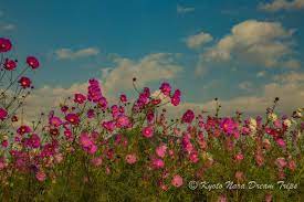 Random Scenery Of Shiga Prefecture In Japan Scenery Japan Shiga