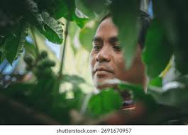 Dak lak vietnam : résultats (2,7 mille) d'images libres de droits, de  photos de stock et d'illustrations