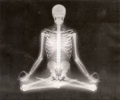 Yoga Flows Deeply Through Your Bones A Stunning Video For A Spooky Time Of Year Https Www Youtube Com Watch V Wcu14zmz 1y Radiologie Radiographie Squelette