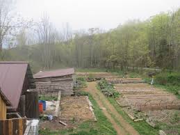 Check spelling or type a new query. Starting A Nursery Business Twisted Tree Farm