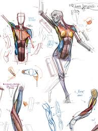Learning to draw muscles may conjure medical charts in daunting details, but such complexity is first a few words about anatomy: Human Chest Drawing At Paintingvalley Com Explore Collection Of Human Chest Drawing
