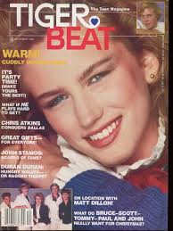 Tiger Beat Teen Magazines 1980-1999