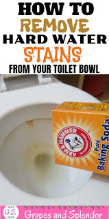 How To Remove Hard Water Stains From Your Toilet Bowl In 2020 Hard Water Stain Remover Clean Toilet Bowl Stains Cleaning Toilet Stains