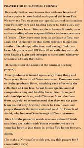 God cares about our animals! Pin On Rainbow Bridge Poem