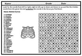 Human Body System Word Search Worksheets Teaching Resources Tpt