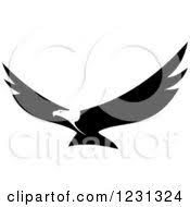 Bald Eagle Clipart Black And White Pin On Falcon