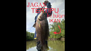 We did not find results for: Ikan Besar Youtube