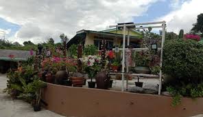 Jun 27, 01:20 shah alam. Tv Astro Archives Page 2 Of 2 Kakicuti Malaysia Homestay Booking Plaform