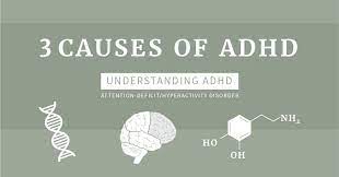 Factors that may be involved in the development of adhd include: The 3 Causes Of Adhd