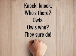 U/136win136 has the link posted below. Good Knock Knock Jokes For Tinder