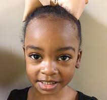 DIRECTORS' SNAPSHOT: A YEAR IN REVIEW