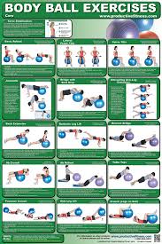 Body Ball Exercises Chart Core 10 95 Fitness Exchange