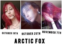 Blondes who seek a darker shade of red would need an excess of color to achieve it, and no matter though less important than hair color and undertone, the right shade of red will make your eye color brighter. The Magic Of Arctic Fox Hairdye Red To Blue To Red Again With No Bleach Fancyfollicles