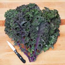 To strip out the stems, grasp a kale leaf with one hand by the stem. Curly Roja Kale Heirloom Densely Frilled Leaf Edges Stunning Purple Sage Color And Red Stems Edible A Organic Seeds Organic Vegetables Purple Vegetables