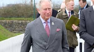 The discussions became more serious after prince philip's death on 9th april 2021. Prince Charles Jung Baby Sussex Prinz Charles Spricht Uber Enkel Auf The Prince Heir To The British Throne Celebrated His 64th Birthday Nov Claysunt