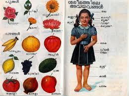 Know Your Fruits Malayalam Simple Life Hacks Visual Photo