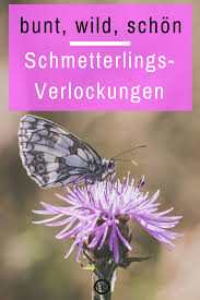 Insektenfreundlicher Garten Bunt Wild Schon Bienenfreundlicher Garten Garten Schmetterlingspflanzen