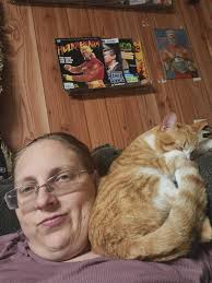 Lost Cat: Orange Tabby Male Near 28th and Division