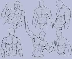 Fema torso anatomy reference for artists to show the model. 36 Trendy Drawing Body Reference Male Torso Male Figure Drawing Man Anatomy Figure Drawing