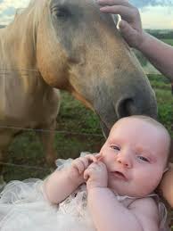 👶Do you have the cutest baby born in Far North Queensland this year? We're  looking to crown the most adorable bub of 2024. Nominations are open to all  bubs born from January