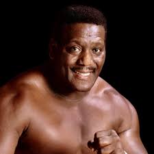 Pro Wrestling Inside and Out