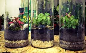 Plus question de jardiner pendant des heures et de vous prélasser dans votre jardin… l'heure est venue de faire rentrer la végétation à l'intérieur et de créer votre cocon green, un jardin d'hiver. Terrarium Comment Creer Un Jardin D Hiver A La Maison