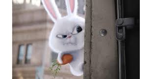 Here at our store, we will. The Secret Life Of Pets Movie Review