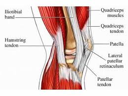Pin On Injury Free For The Runner In Me