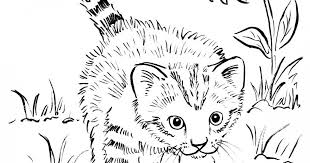 Print all you want and come back regularly to get even more. Pin On Animal Coloring Pages