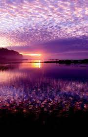 Check spelling or type a new query. Beautiful Purple Sunset Sky Novocom Top