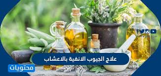 علاج الجيوب الانفية بالاعشاب 6 أعشاب لعلاج الجهاز التنفسيفي المنزل موقع محتويات