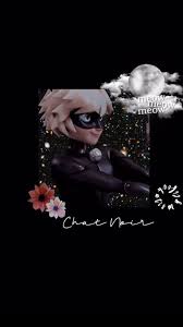 If you're in search of the best miraculous tales of ladybug cat noir wallpapers, you've come to the right place. Background Cat Noir Wallpaper Enwallpaper