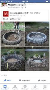 Pin By Petra Grunwald On Garden Design Plot Huntly Nz Ponds Backyard Diy Pond Pond