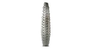Cactus black slate serving tray. Slamp Cactus Floor Lamp Ambientedirect