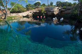 Choose from an extensive selection of above ground pools from various brands at target™. Cool Off In Albuquerque S Outdoor Swimming Pools