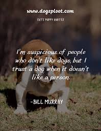 This quote, ostensibly from comedian bill murray, has been circulating around the internet for several years. Puppy Quotes 50 Cute Puppy Quotes For Your Instagram Caption