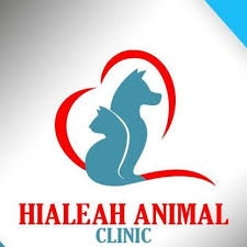 Maybe you would like to learn more about one of these? Hialeah Animal Clinic Home Facebook