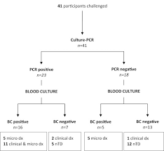 Blood Culture Pcr To Optimise Typhoid Fever Diagnosis After