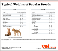 53 Veritable Domestic Shorthair Cat Weight Chart