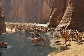 The u/chade1968 community on reddit. Guelta D Archei O Canion Dos Camelos De Chade Camelos Viagem Virtual Egito