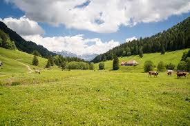 Zentral in oberstdorf gelegen, ist das gams ideal für einen aktiven urlaub. Xi4iskjwjkkptm