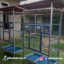 Burung lovebird ini terdapat berbagai macam warna. Jual Kandang Burung Besar Custom Se Jabodetabek